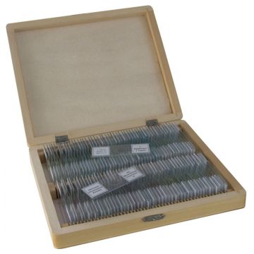 BRESSER Prepared Slides 100 pcs. Box