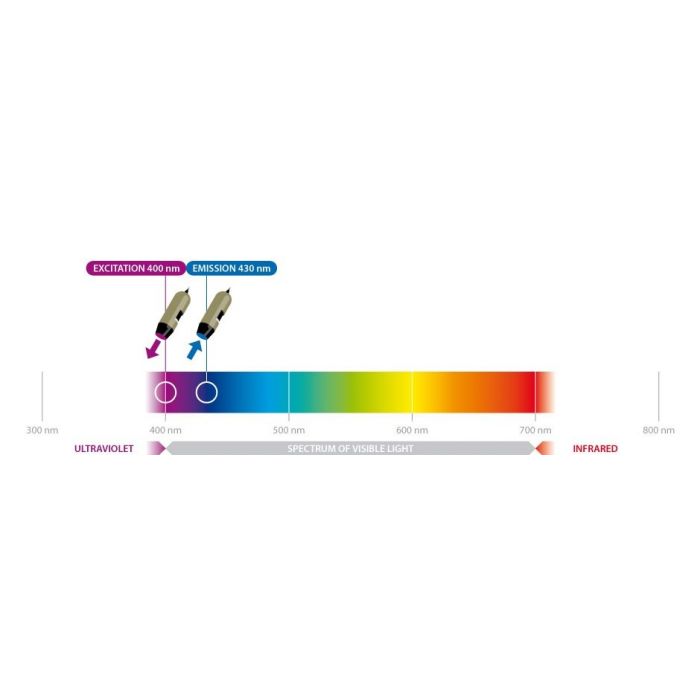 [AM4115T-CFVW] Dino-Lite EDGE Digital Microscope (USB 2, 1.3MP) Fluorescence LED 400nm - 20-220x