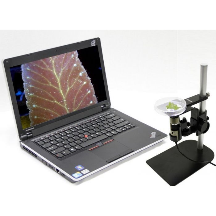 [AM4115T-CFVW] Dino-Lite EDGE Digital Microscope (USB 2, 1.3MP) Fluorescence LED 400nm - 20-220x