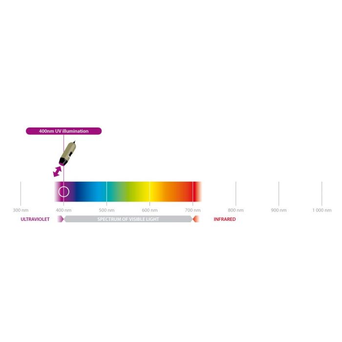 [AM4115TL-FVW] Dino-Lite EDGE Digital Microscope (USB 2, 1.3MP) UV LED 390-400nm, 10-140x