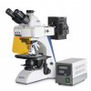 Category Fluorescence Microscopes image